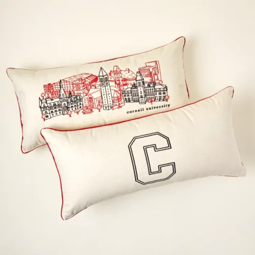 College cityscape pillow from Uncommon Goods